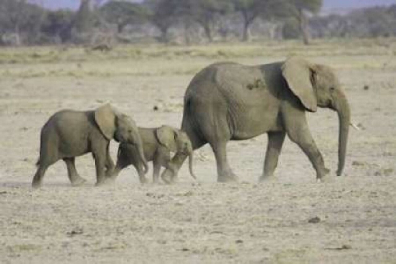 Memory Lane Poster Print by Susann Parker - Item # VARPDXPSPKR146